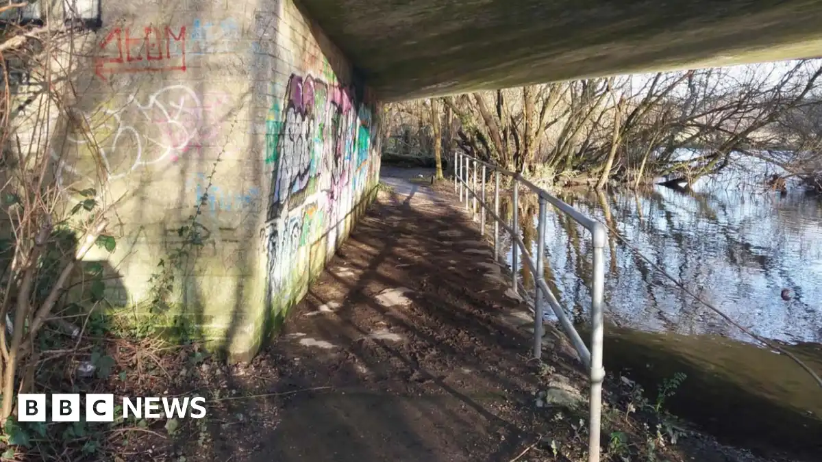 Boys who raped teen girls in Fordingbridge given custodial sentences after review
