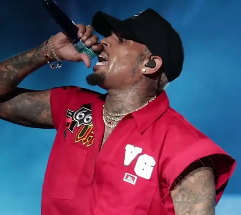 Chris Brown þarf að greiða milljarða í skaðabætur vegna hundsárásar – Flúði af vettvangi