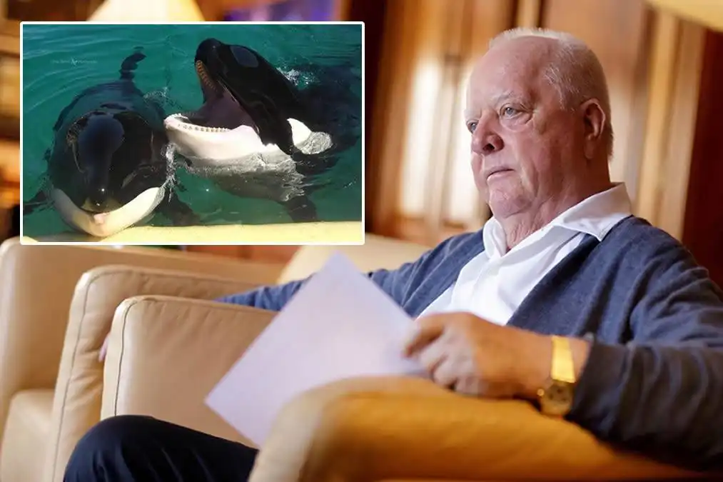 Loro Parque ready to rescue French Orcas but awaits approval from Spanish Government