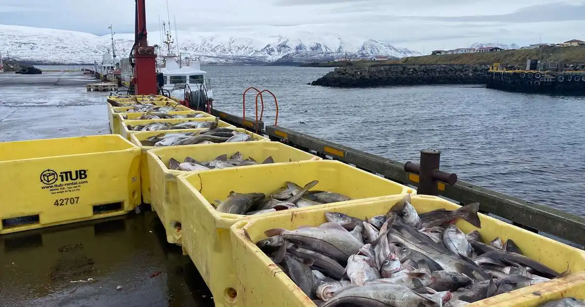„Má ætla“ að aðild hefði ekki áhrif á veiðiheimildir staðbundinna fiskstofna