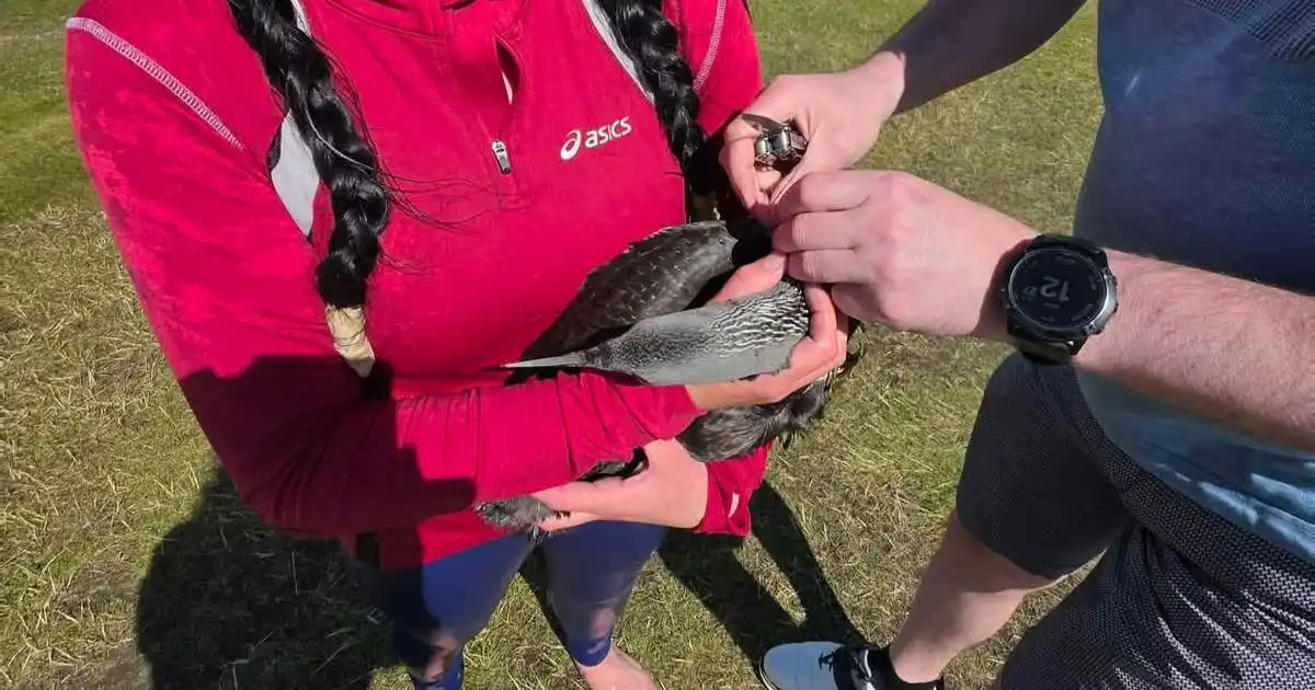 Náði fugli í fyrsta golfhringnum
