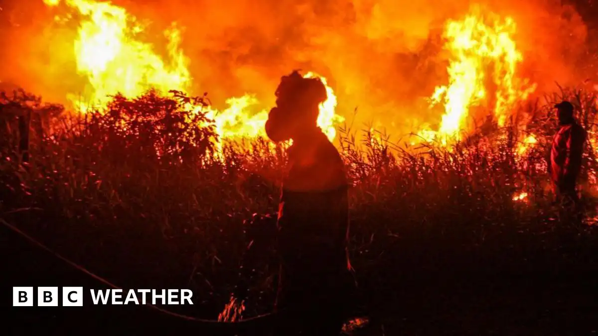 Record global temperatures possible as chance of a 'super El Niño' grows