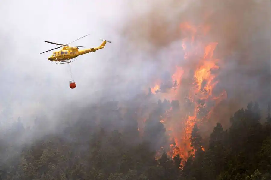 Warning for extreme heat and forest fires activated across the Canary Islands